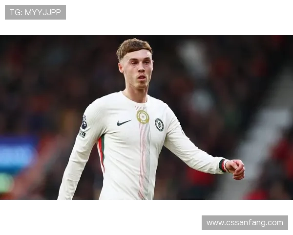 加的夫城英超球衣图片及球迷评价